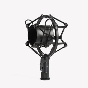 BM-800 Professional Microphone Mic Kit